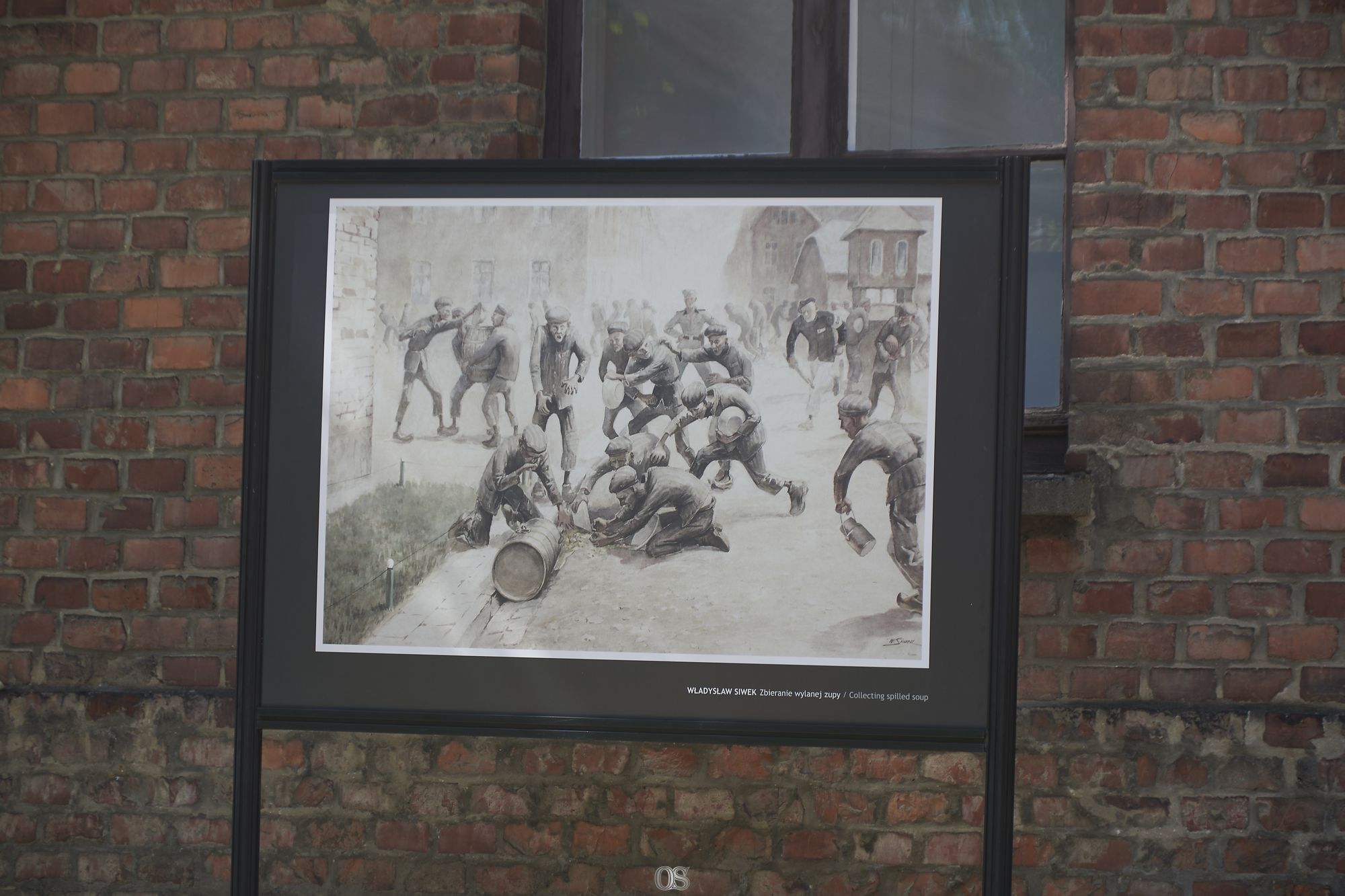 Auschwitz 50.jpg